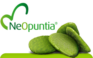 accueil_NeOpuntia